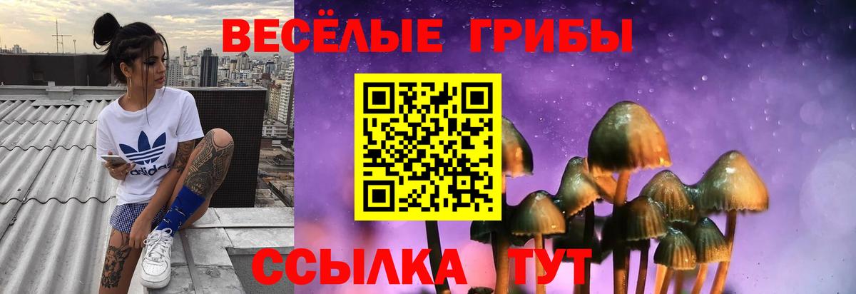Псилоцибиновые грибы GOLDEN TEACHER Пыть-Ях